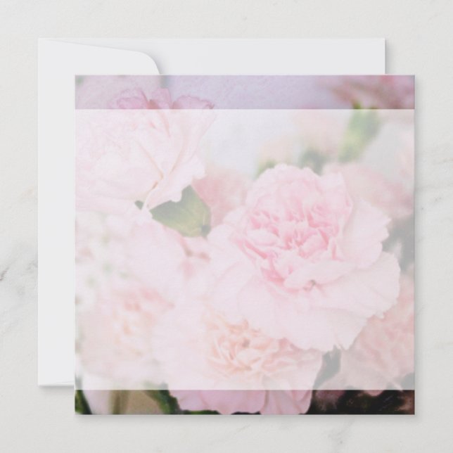 pink carnation flowers all party blank invitations (Front)