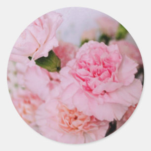 pink carnation flowers vintage style photography classic round sticker