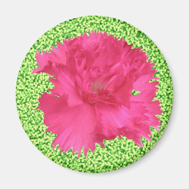 Pink Carnation Magnet (Front)