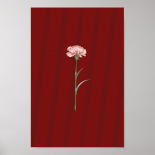 Pink Carnation on Red – Romantic Aesthetic Poster