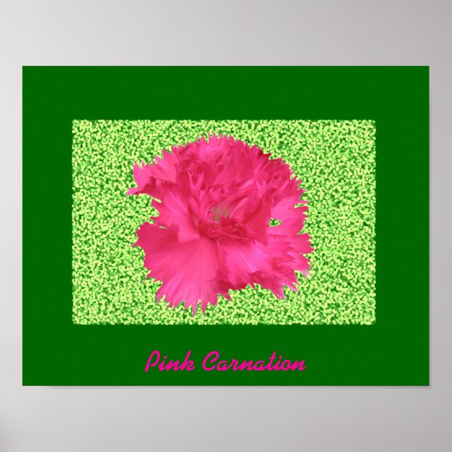 Pink Carnation Print (Front)