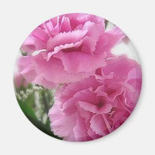 Pink Carnations 1 Magnet
