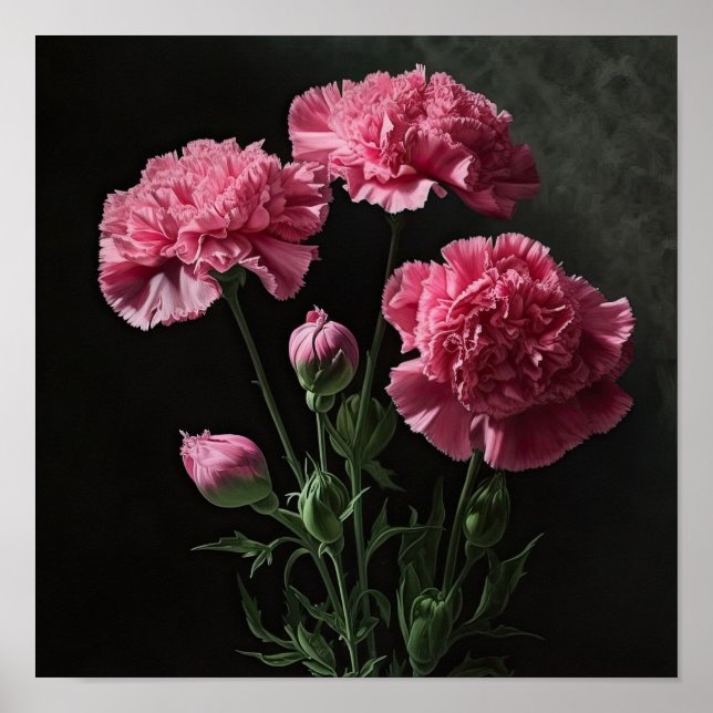 Pink Carnations Flower Art Print Poster (Front)