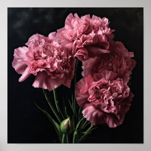 Pink Carnations Flower Art Print Poster