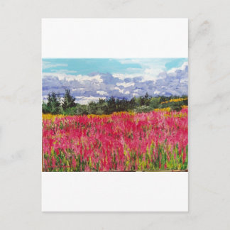 Pink Carpet Painting Postcard
