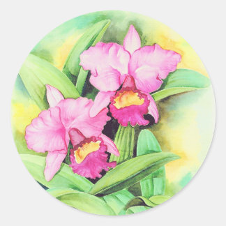 Pink Catleya Orchid Flower Art - Multi Classic Round Sticker