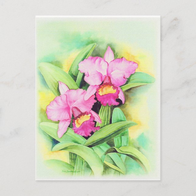 Pink Catleya Orchid Flower Art - Multi Postcard (Front)