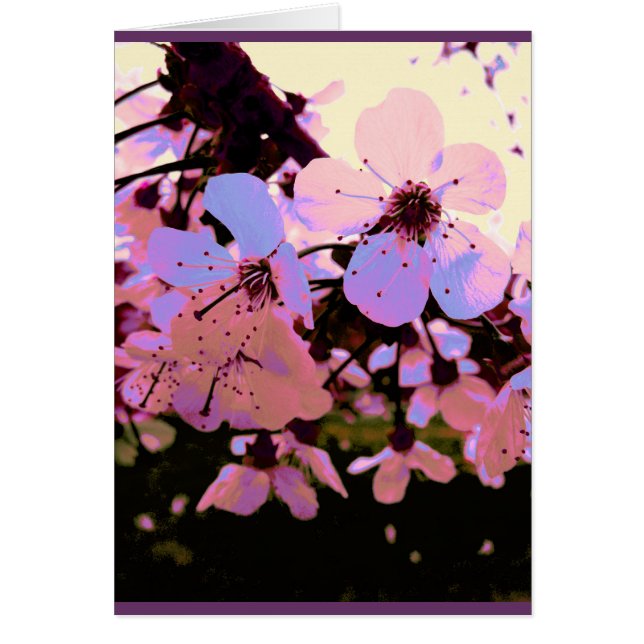 Pink Cherry Blossom (Front)