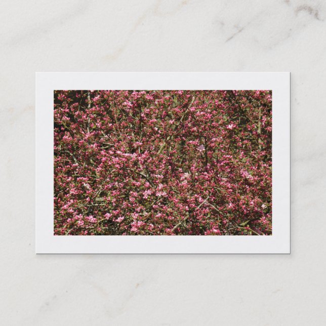 Pink Cherry Blossom 02 (Bordered) Business Card (Front)