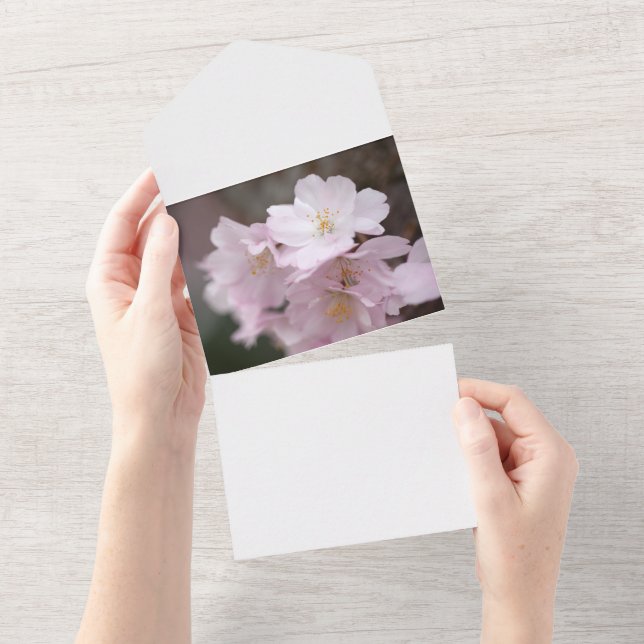 Pink Cherry Blossom All In One Invitation (Tearaway)