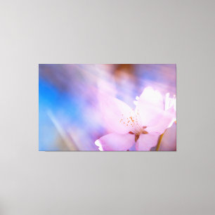 Pink cherry blossom canvas print