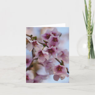 Pink Cherry Blossom Card