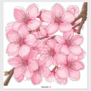 Pink Cherry Blossom Cluster on Brown Branch