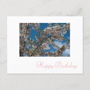 pink cherry blossom flowers happy birthday postcard