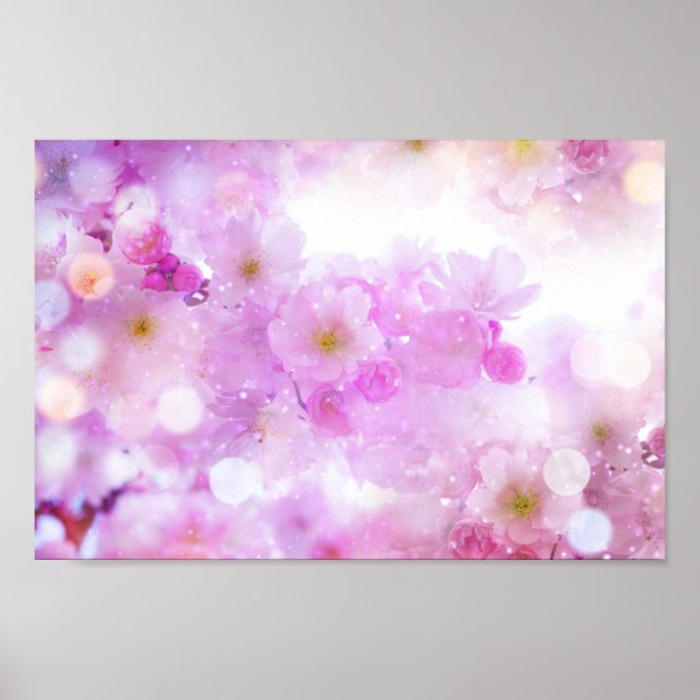 Pink Cherry Blossom Flowers Photo Poster (Front)