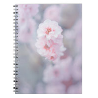 PINK CHERRY BLOSSOM IN CLOSE UP PHOTOGRAPHY