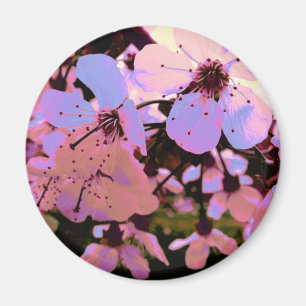 Pink Cherry Blossom Magnet