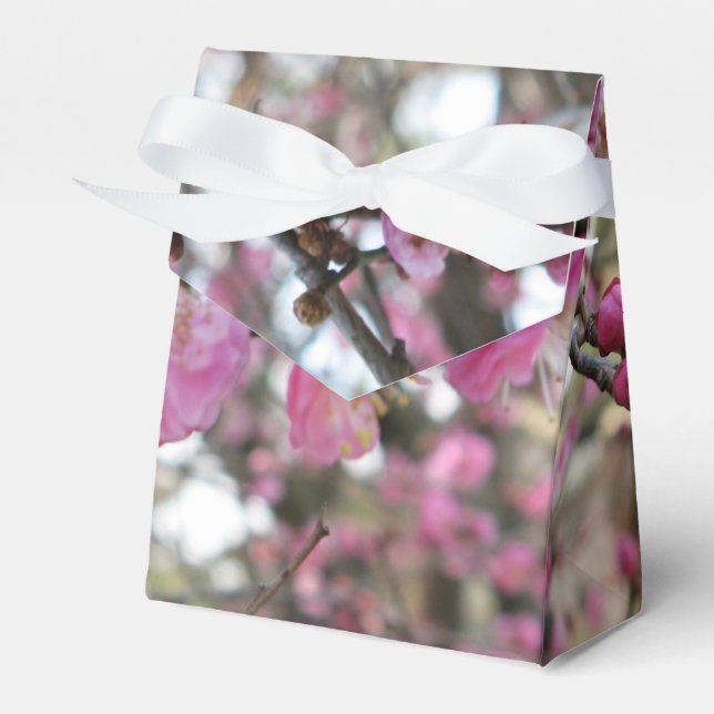 Pink Cherry Blossom / Sakura / サクラ（桜) Favour Box (Front Side)