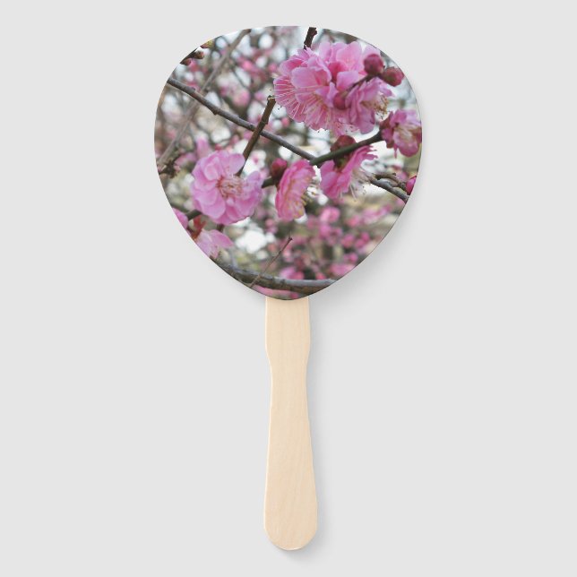 Pink Cherry Blossom / Sakura / サクラ（桜) Hand Fan (Front)