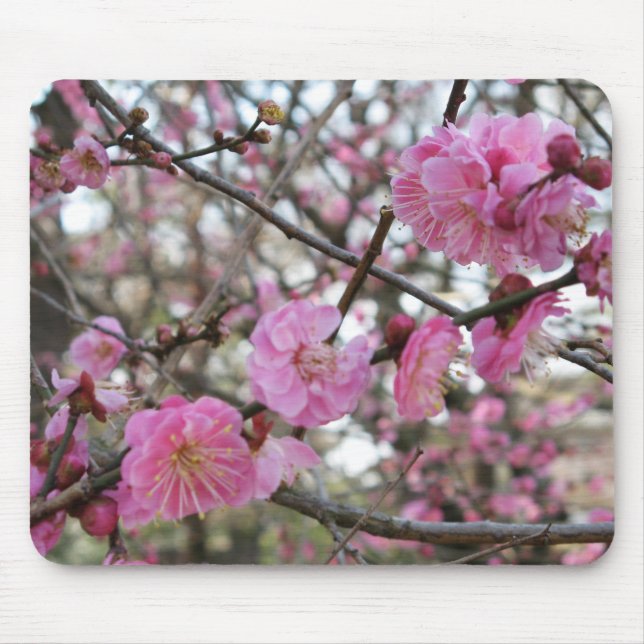 Pink Cherry Blossom / Sakura / サクラ（桜) Mouse Pad (Front)