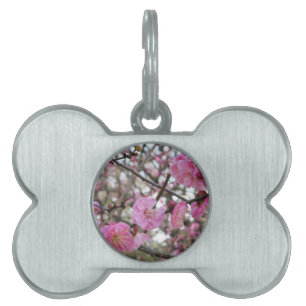 Pink Cherry Blossom / Sakura / サクラ（桜) Pet ID Tag