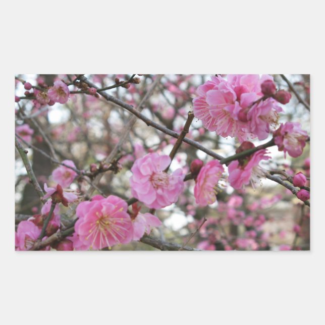 Pink Cherry Blossom / Sakura / サクラ（桜) Rectangular Sticker (Front)