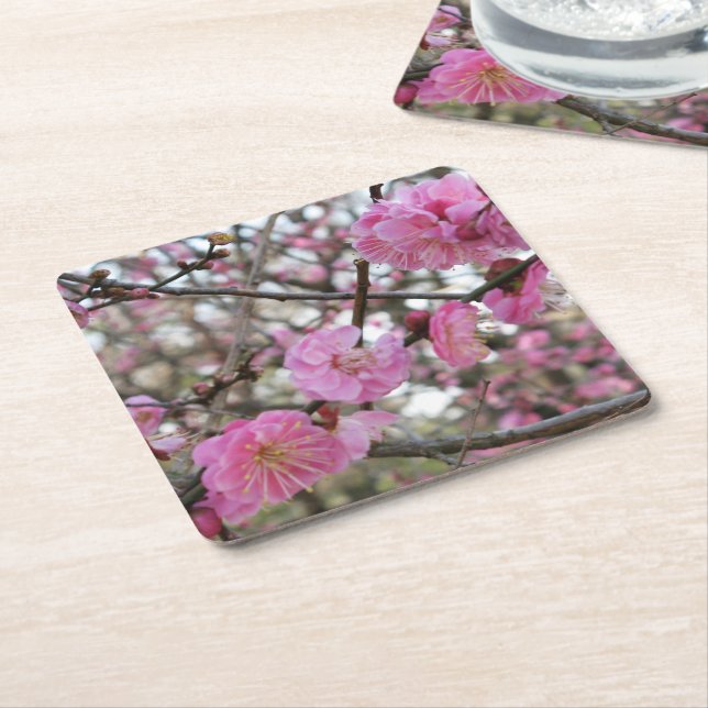 Pink Cherry Blossom / Sakura / サクラ（桜) Square Paper Coaster (Angled)