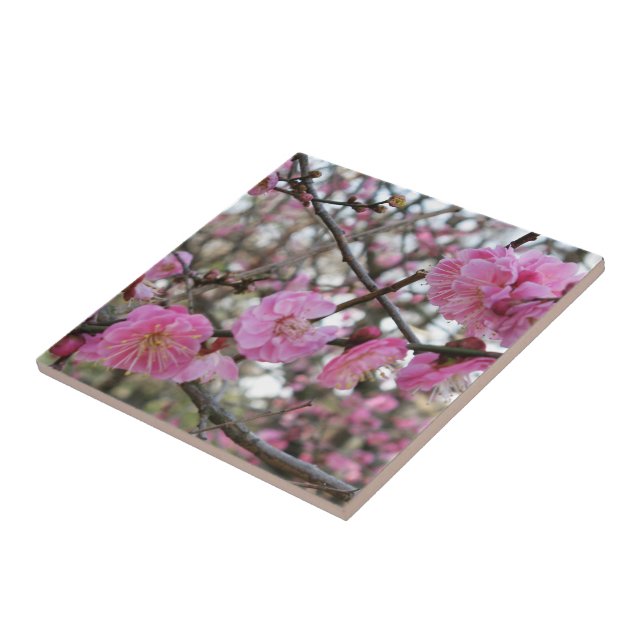 Pink Cherry Blossom / Sakura / サクラ（桜) Tile (Side)