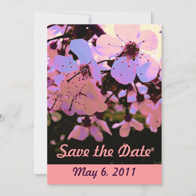 Pink Cherry Blossom Save the Date (Front)