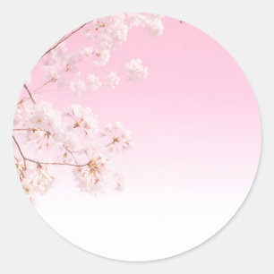 Pink Cherry Blossom Spring Serenity Classic Round Sticker