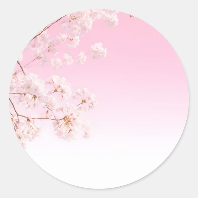 Pink Cherry Blossom Spring Serenity Classic Round Sticker (Front)