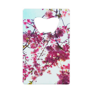 Pink Cherry blossoms