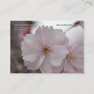 Pink Cherry Blossoms Business Card