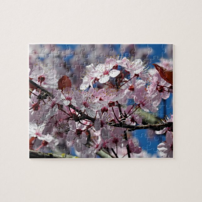 Pink cherry blossoms jigsaw puzzle (Horizontal)