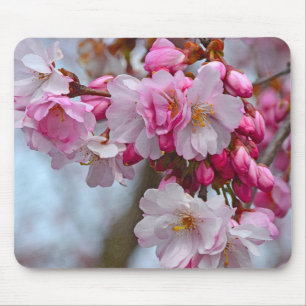 Pink cherry blossoms mouse pad