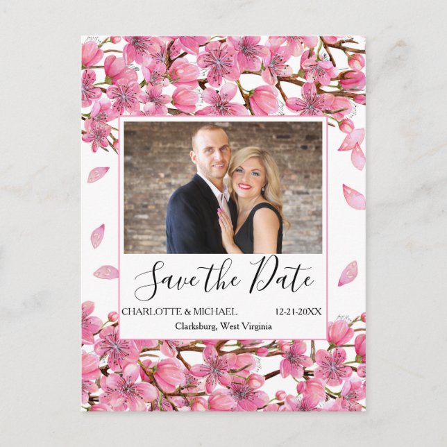Pink Cherry Blossoms Save The Date Postcard (Front)
