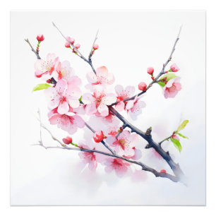 Pink Cherry Flowers Branch Photo Print