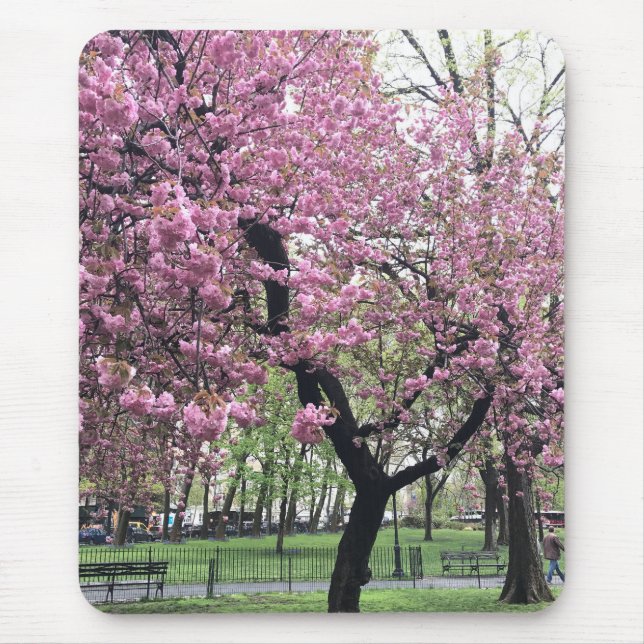 Pink Cherry Tree Blossoms Springtime New York City Mouse Pad (Front)