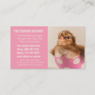 Pink Chick Hatchery Business for Women Business Card