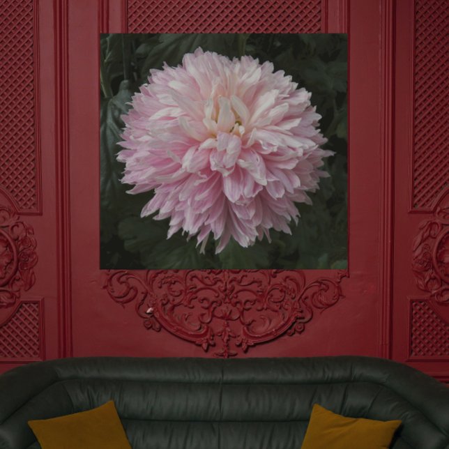 Pink Chrysanthemum Bloom Floral Poster (In Situ)