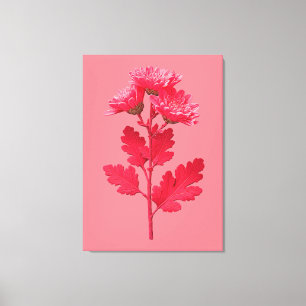 Pink Chrysanthemum  Canvas Print