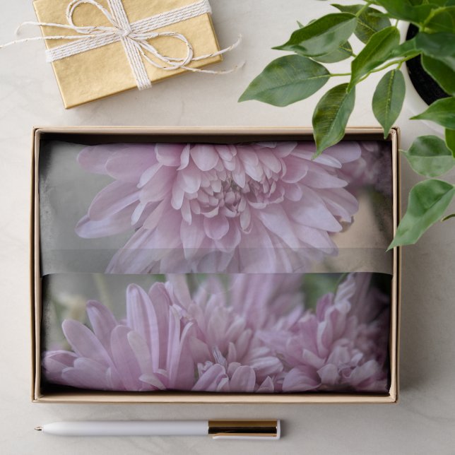 Pink Chrysanthemum Floral Photo Tissue Paper (Gift)
