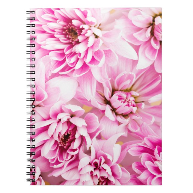 Pink Chrysanthemum Flower  Notebook (Front)
