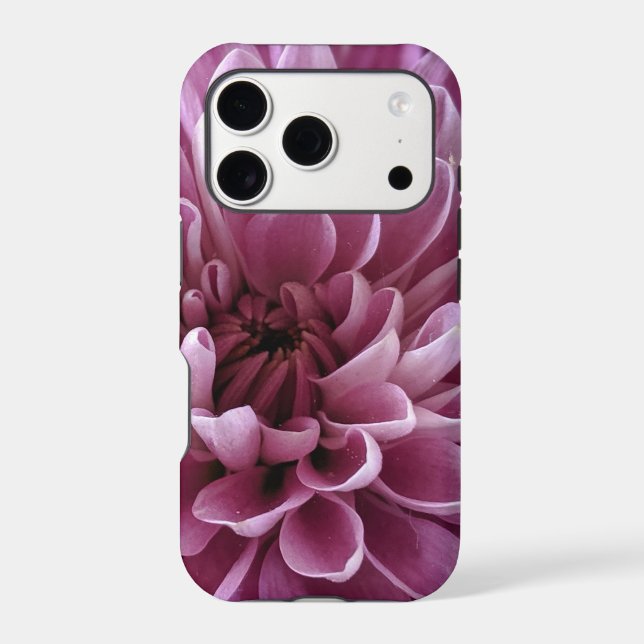 Pink Chrysanthemum Flower Photo Design (Back)
