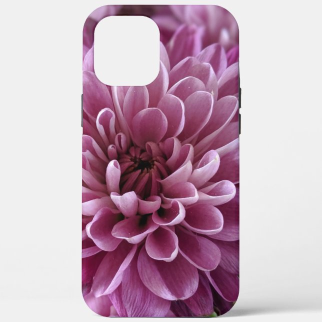 Pink Chrysanthemum Flower Photo Design Case-Mate iPhone Case (Back)