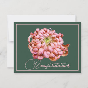 Pink Chrysanthemum Green Backdrop Congratulations Postcard