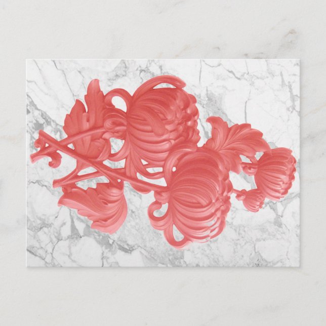 Pink Chrysanthemum Postcard (Front)