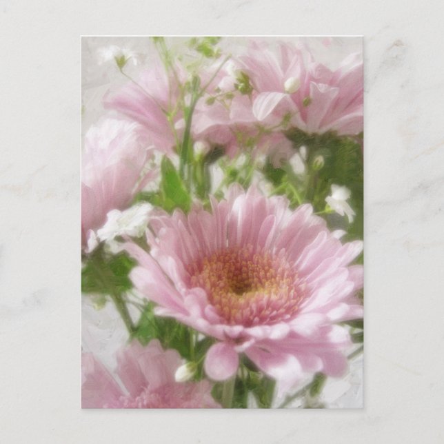 Pink Chrysanthemums 5 Elegance Postcard (Front)