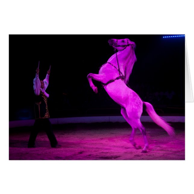 Pink Circus Horse (Front Horizontal)