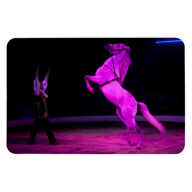 Pink Circus Horse Magnet (Horizontal)